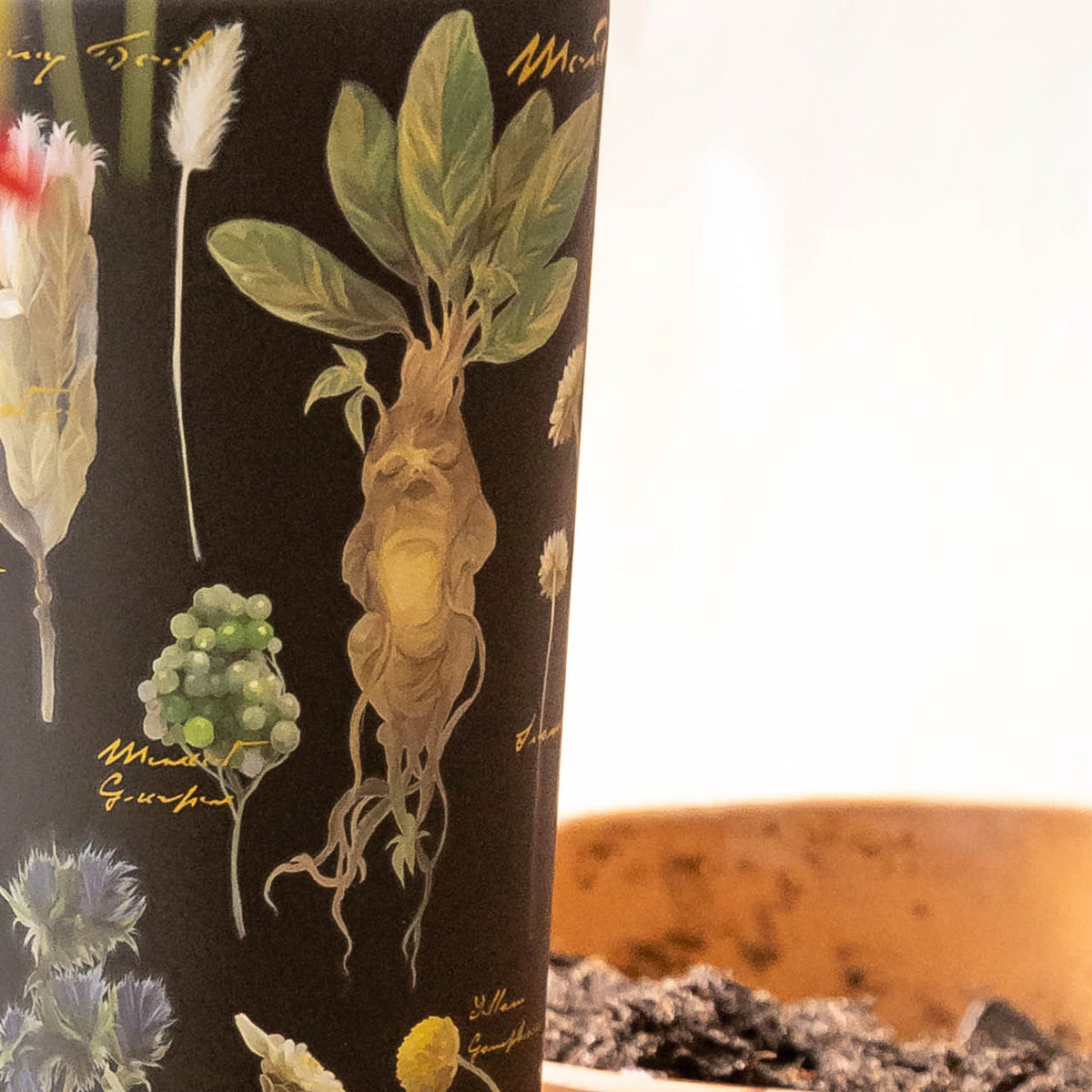harry-potter-cold-cup-q7 Herbology-3.jpg
