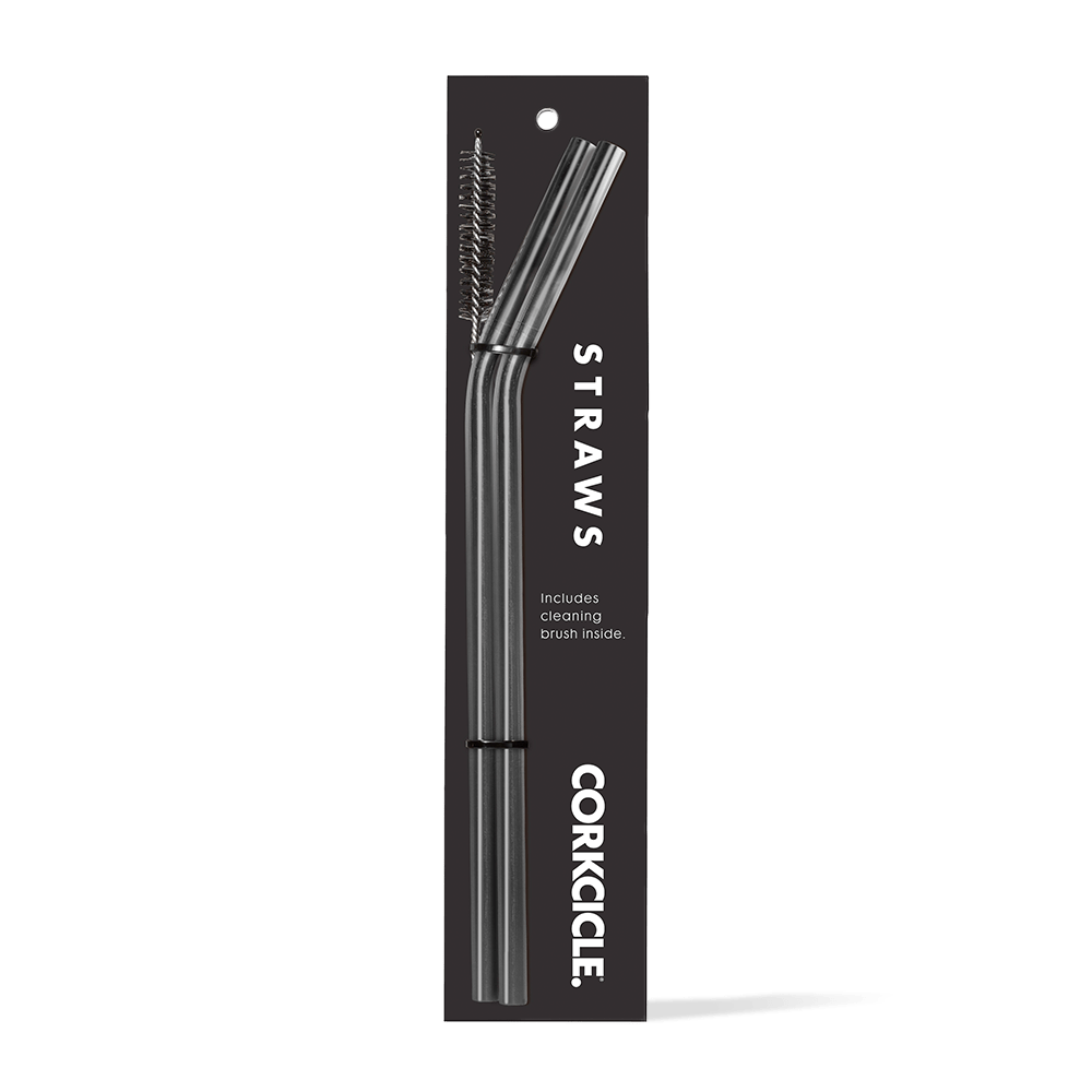 tumbler-straw-2-pack-u6 gunmetal.png